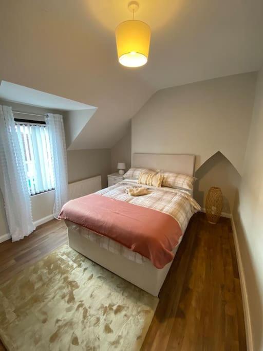 The Cozy Homestay 贝尔法斯特 外观 照片